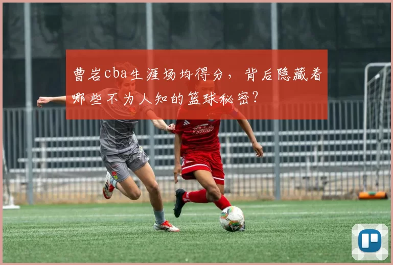 曹岩cba生涯场均得分,背后隐藏着哪些不为人知的篮球秘密?